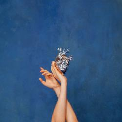 Cover art for Aurora's What happened to heart album. Image shows two arms from the elbow and upwards extended overhead, One of the hands is holding a a model of an anatomical heart. 